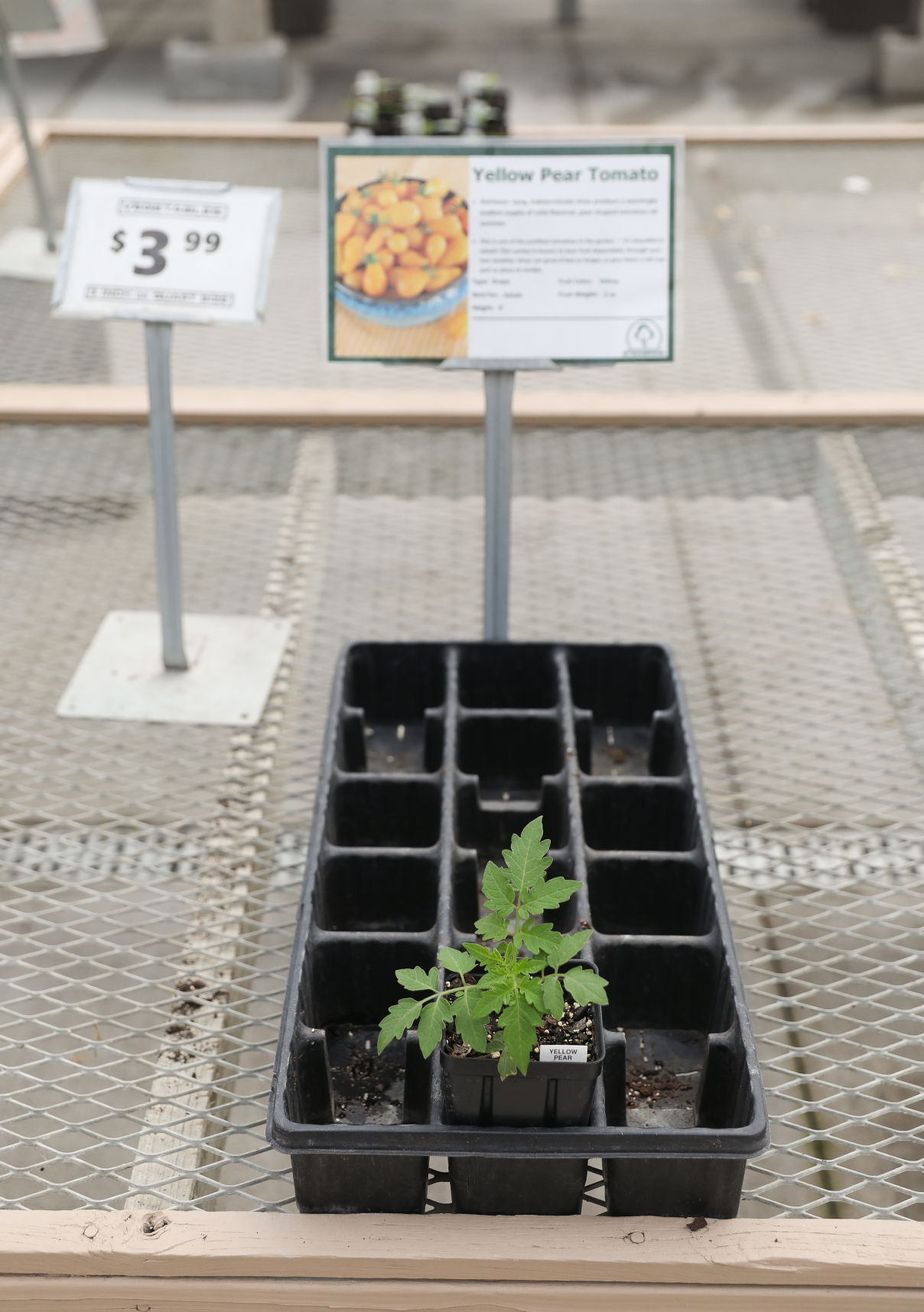 Steinbrink Landscaping & Greenhouses